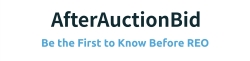 AfterAuctionBid